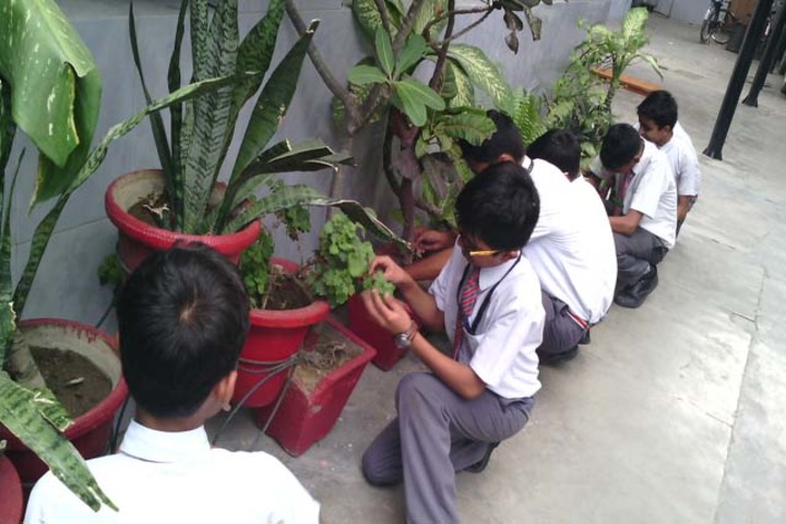 Rani Laxmi Bai Memorial School-Environment Day
