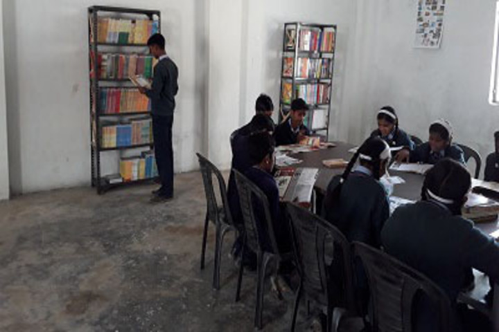 Rohilas International School- library