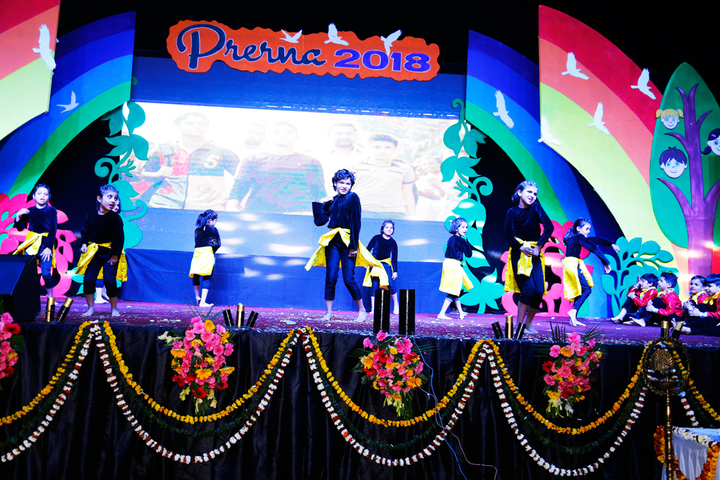 Romex International School- fest