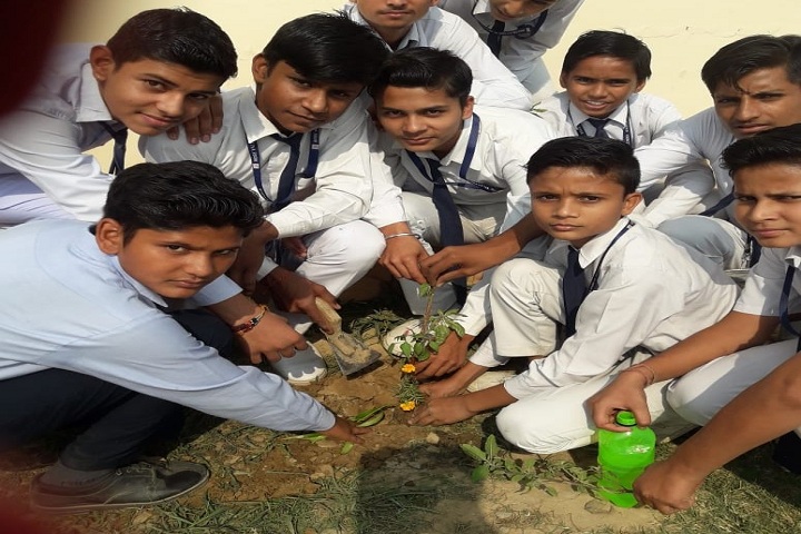 Rose Valley Public School-Planting