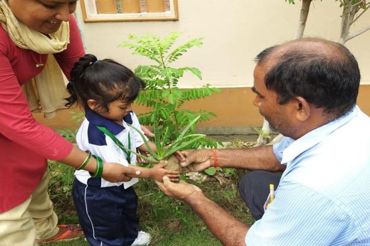 Royal Mount Academy-Tree Plantation