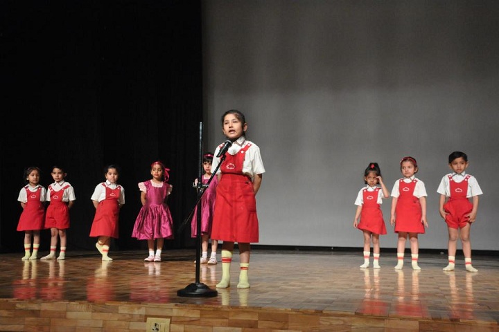 Delhi Public School-Auditorium