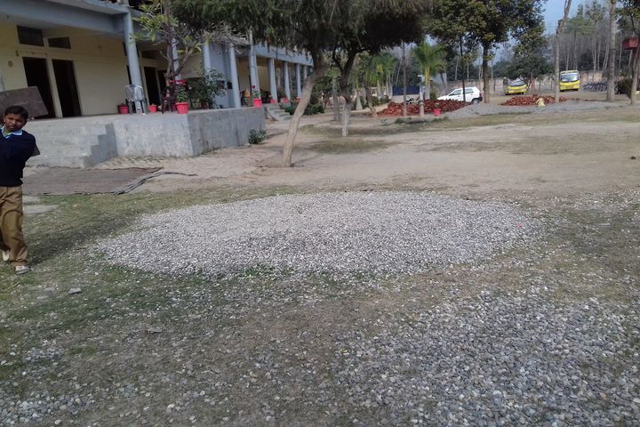 S P M Dav Public School- Transport