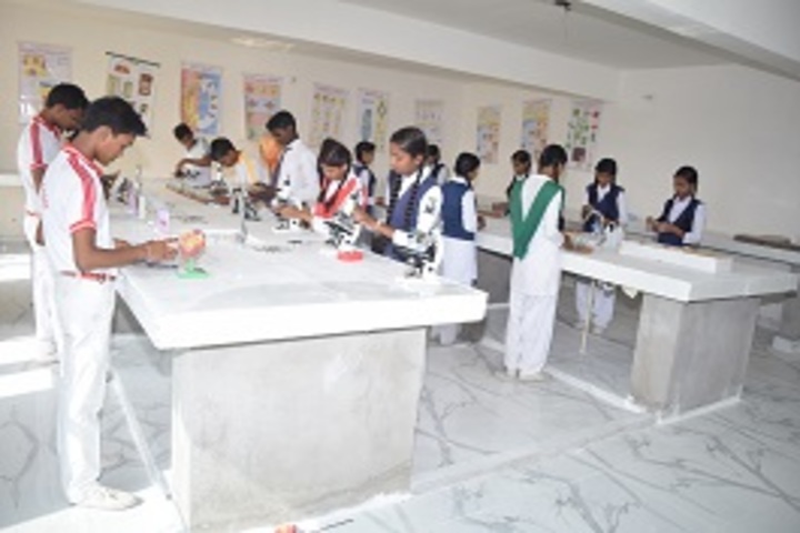 S S Dev Public School- Biology lab
