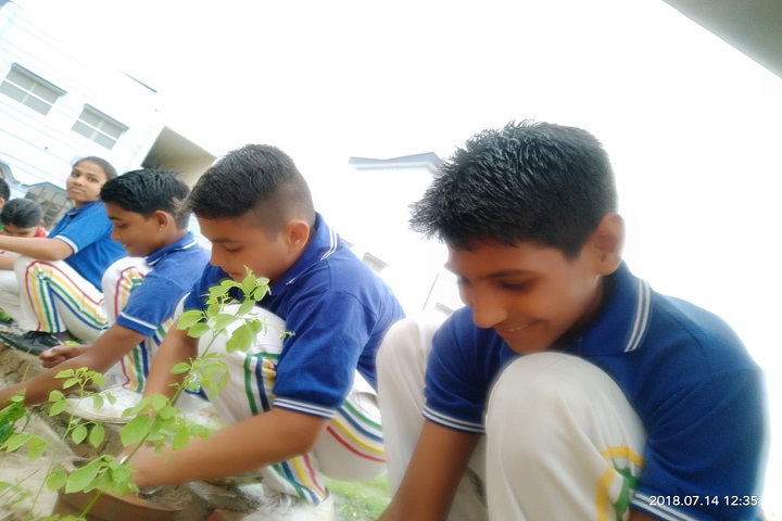 S V Public Junior High School-Planting