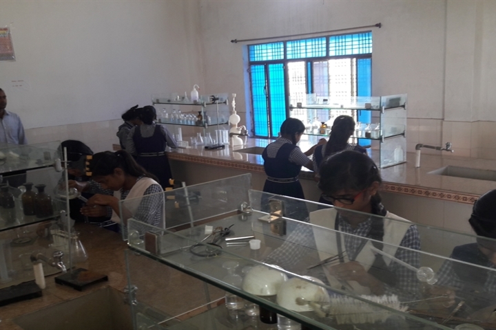 Sacred Heart School-Chemistry lab