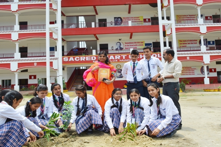Sacred Heart School-Tree plantation