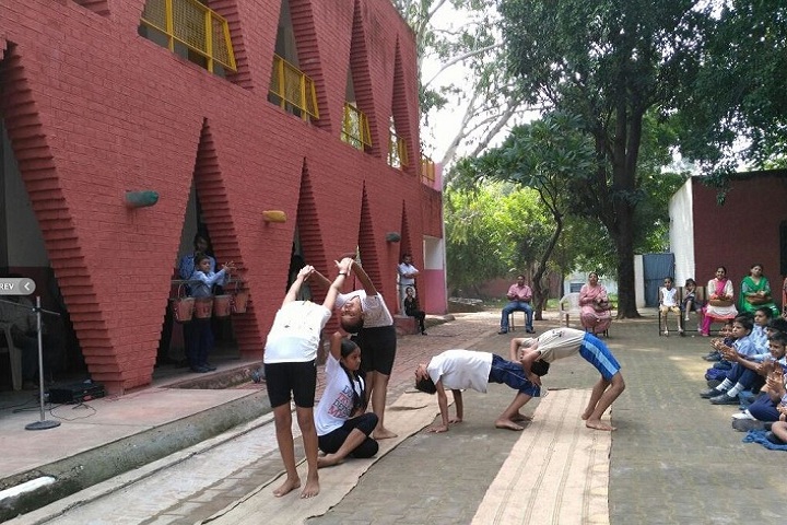 Government High School-Yoga