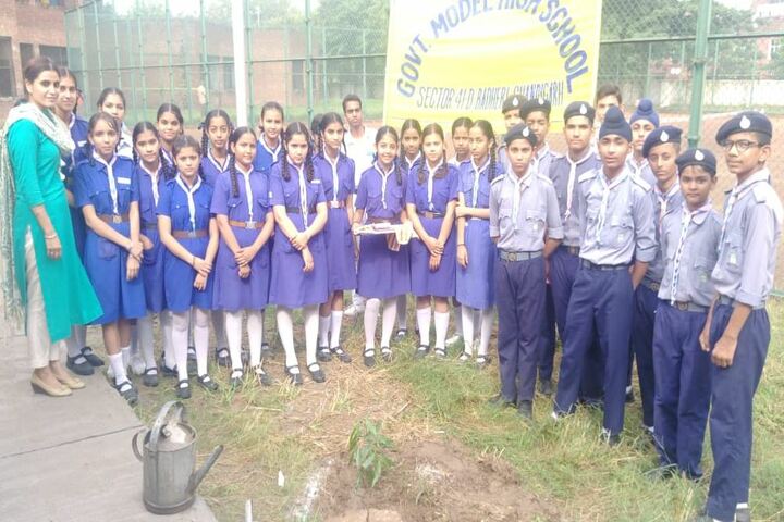 Government High School-Students
