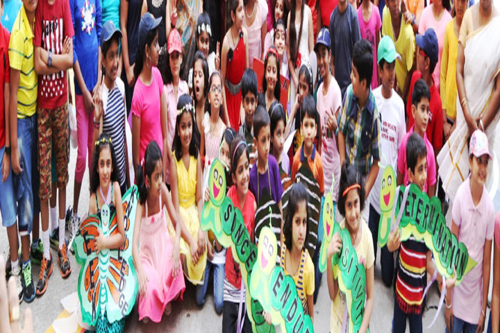 Gitanjali Devashray-Activity