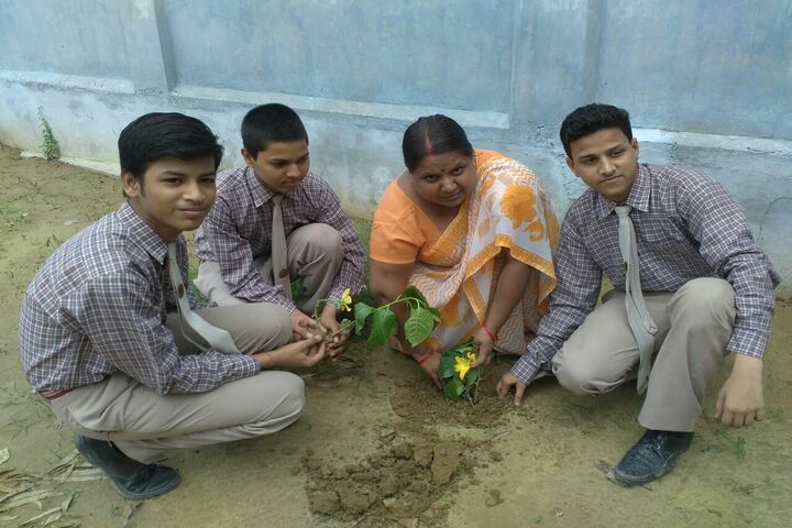 Scholars Nest School-Plantation