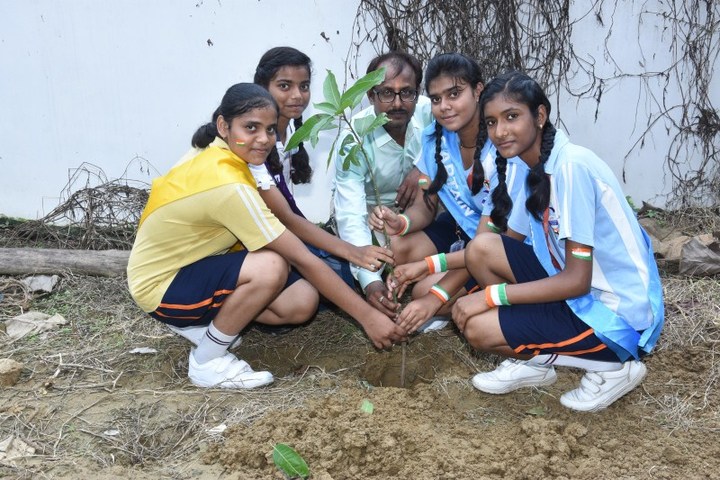 Seth M R Jaipuria School-Tree Plantation