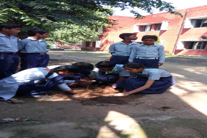 Government High School-Plantation