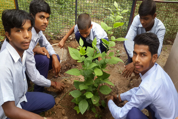 Government High School-Plantation