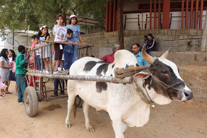 Glendale Academy - Farm Day