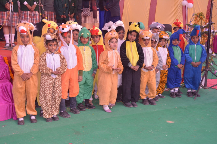Shree Aditya Narayan Singh Public School-Fancy dress