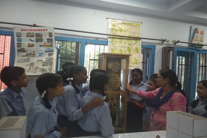 Govt High School-Library biology