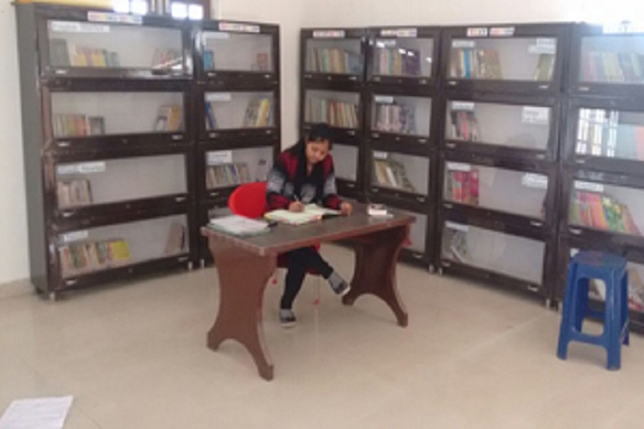 Shri Guru Nanak Public School-Library