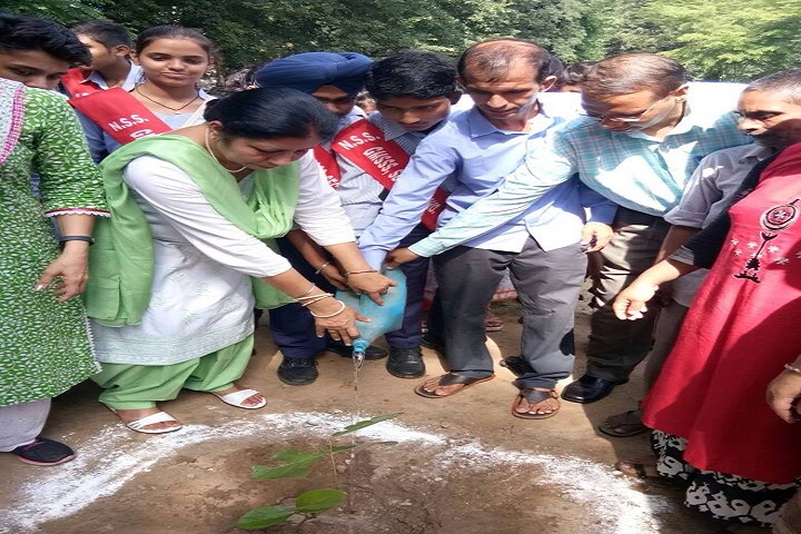 Government High School-Tree plantation