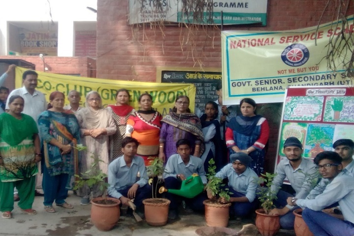 Government High School-Plantation