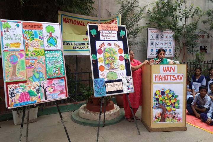 Government High School-Vanmohtsav Celebration