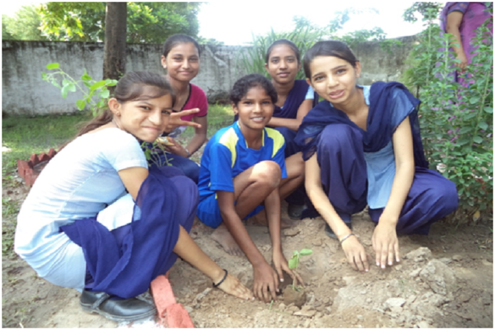 Government High School-Herbal Garden