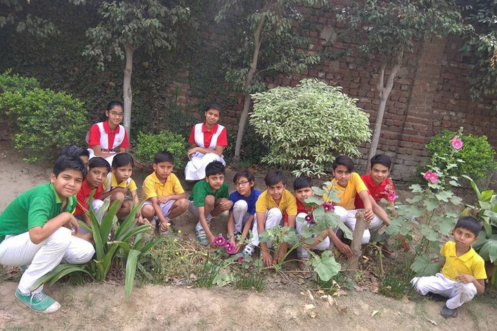 Smt. Kamla Agarwal Public School-Plantation