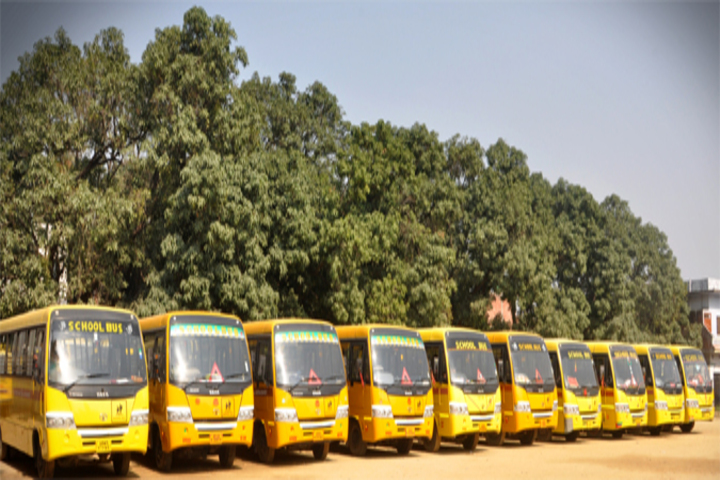 Spring Bell School-Transport