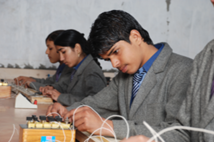 Spring Dales Public School-Project Work