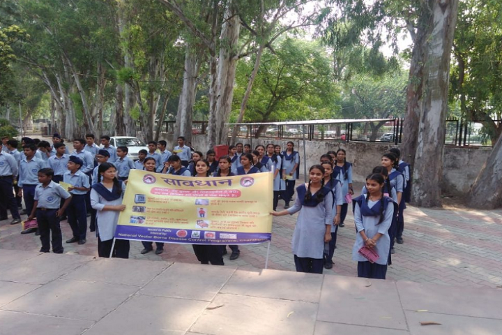 Govt Model High School-Others activity