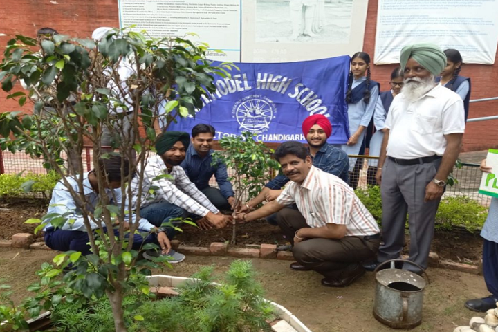 Govt Model High School-Others plantation