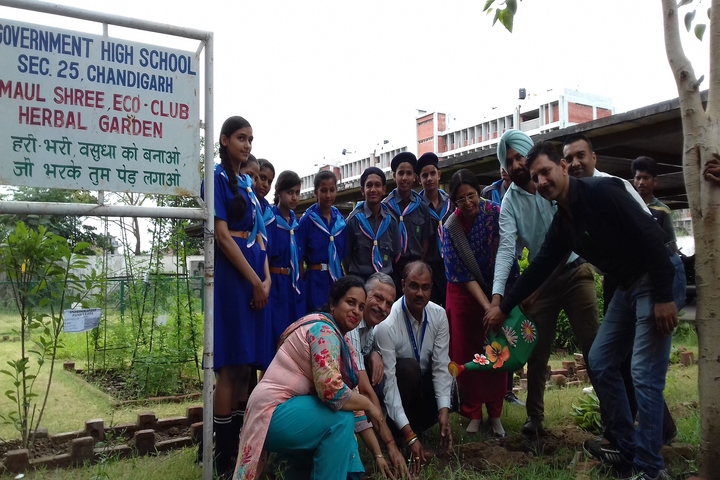 Government Model High School-Plantation