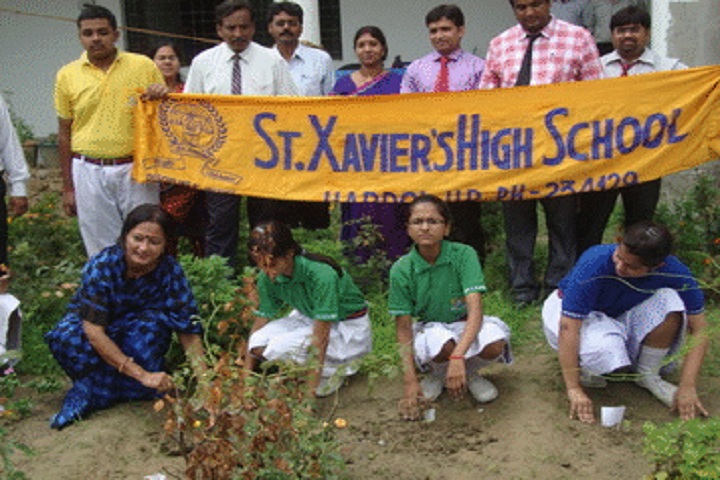 St Xaviers High School-Plantation