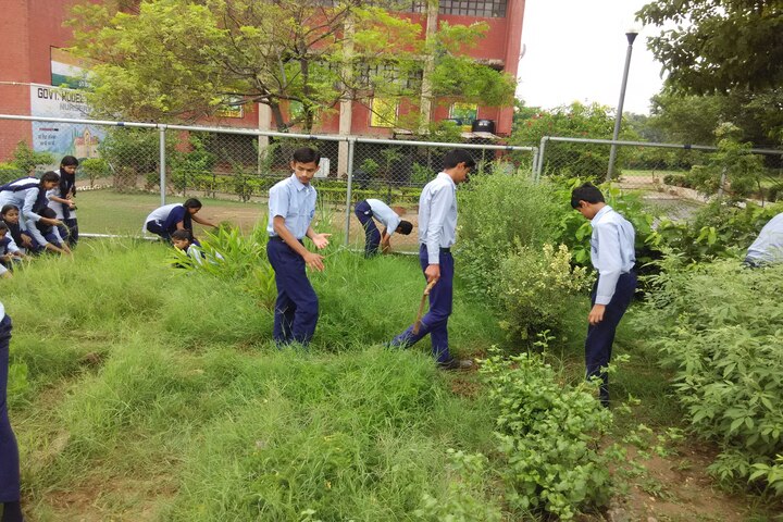 Government Model High School-Plantation