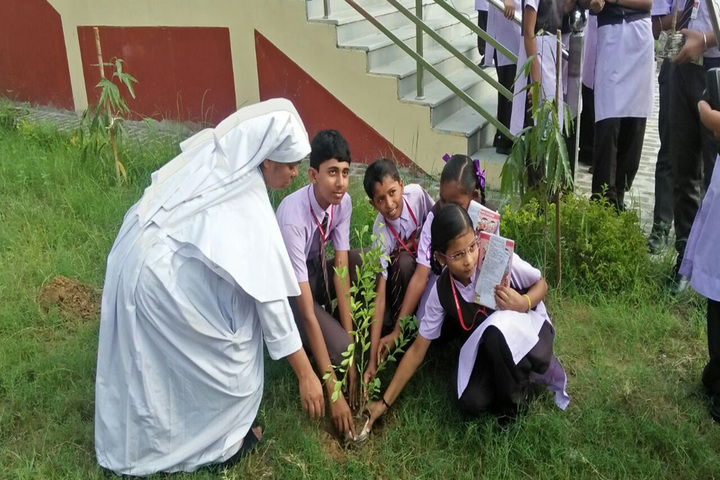 St Josephs School-Earth Day