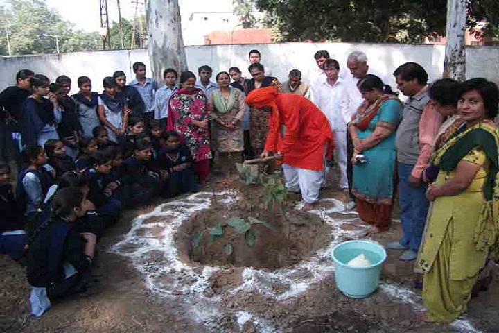 Government Model High School-Tree Plantation