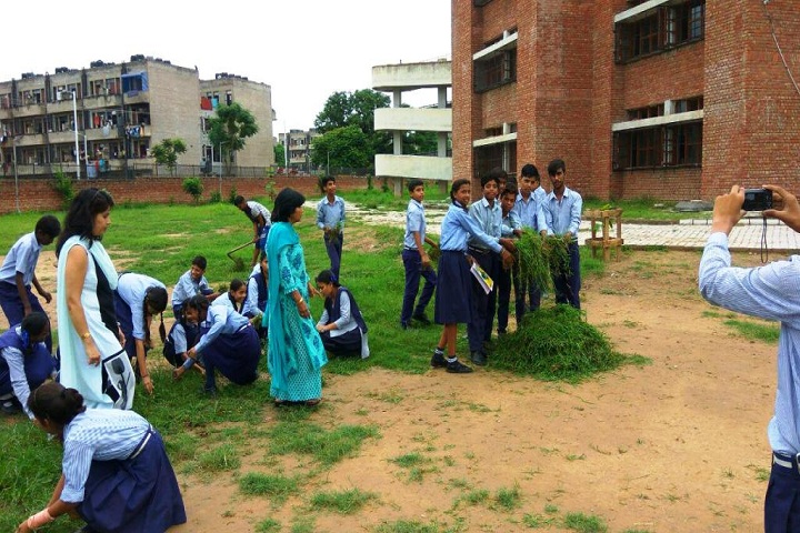 Government Model High School 1-Swachh Barath