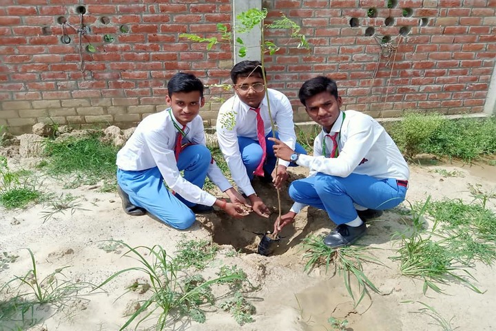 St Xaviers High School-Tree Plantation