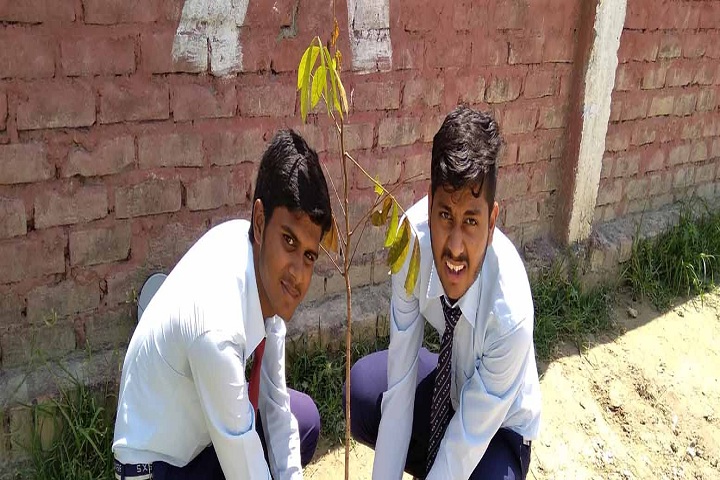St XavierS School-Plantation