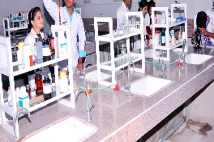 St Xaviers High School-Lab