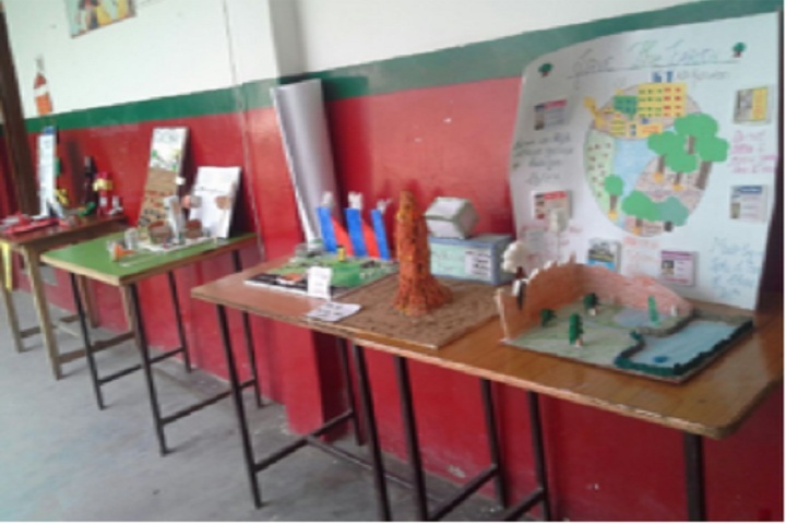 St Xaviers High School-Exhibition