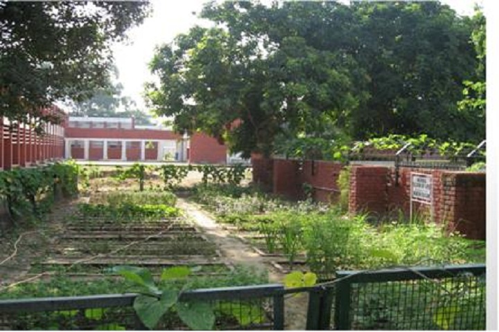Government Model Senior Secondary School-Herbal Nursery Plant