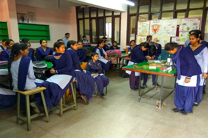 Government Model Senior Secondary School-Biology Lab