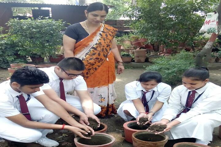 Stepping Stones School-Tree Plantation