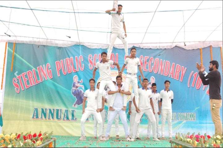 Sterling Public School-Activity