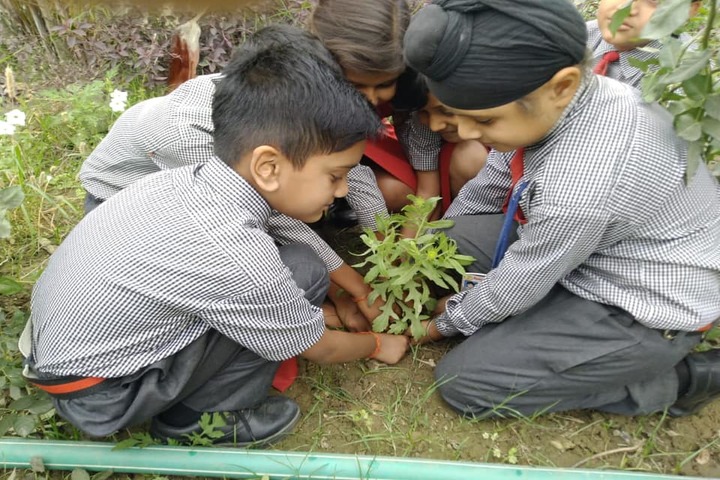 Sumitra Modern School-Plantation