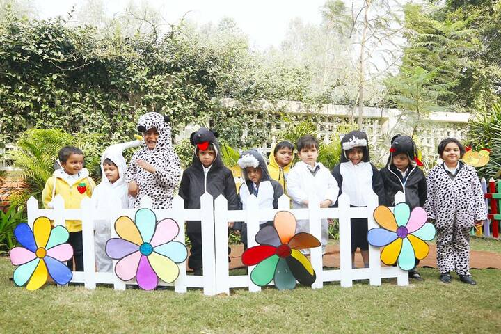 Summer Valley School-Activity
