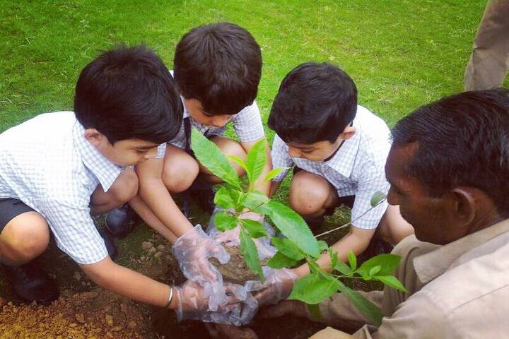 Summer Valley School-Plantation