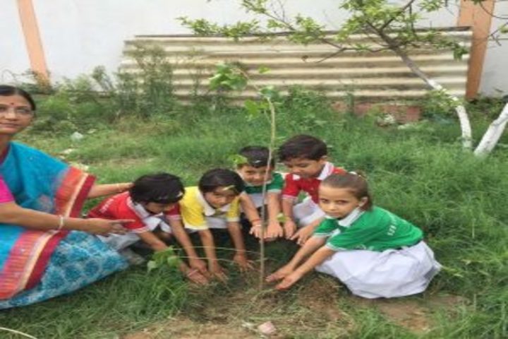 Sun Lord Public School-Plantation