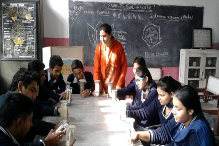 Government Model Senior Secondary School-Biology Lab